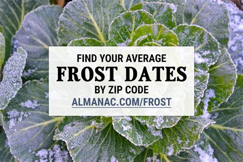 2°C)—widely destructive to most vegetation. . Farmers almanac last frost